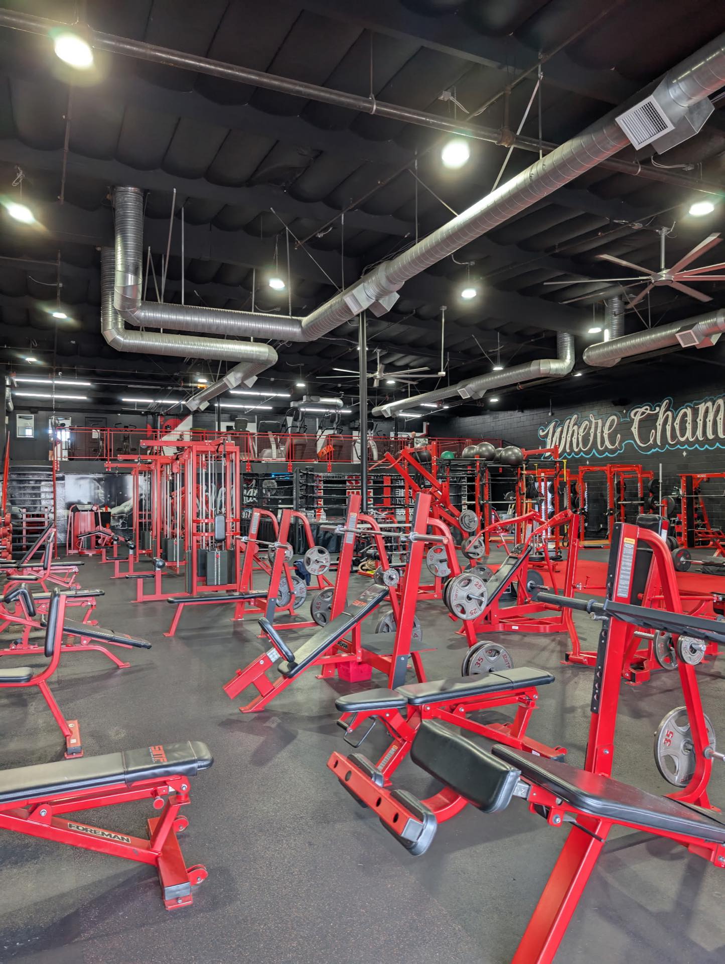 Coaching session at Ki Fitness Lab